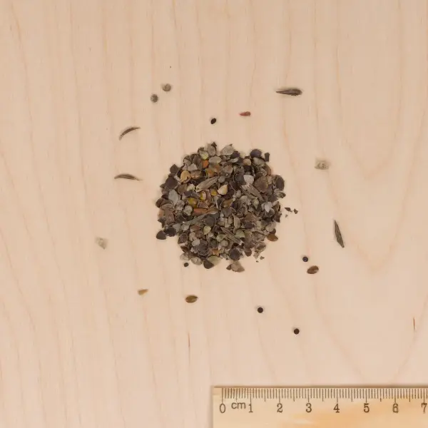 Mélanges de fleurs - Pop Love Rouge & Blanc - 7 m² - Mélange de fleurs - MEDIA_3D